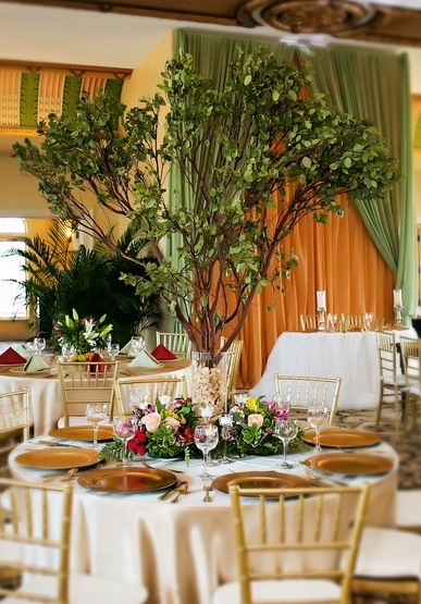 Live Manzanita Tree Centerpiece