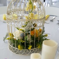 Birdcage & Flowers Birdcage & Flowers