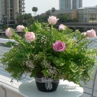 Brides N Blooms Designs - Fern with Picked Roses & Babies Breath