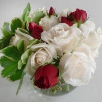 Red & White Rose Bowl Roses are for any occasion