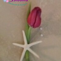 Red starfish boutonniere
