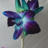 Brides N Blooms, Wholesale & Designs - Blue Orchid Boutoniere