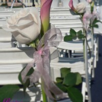Rose & Mini Calla Planter