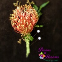 Pin cushion boutonniere