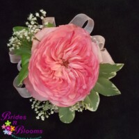 Pink Garden Rose Wrist Corsage