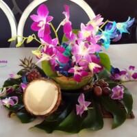 Tropical Table Design Tropical Table Design