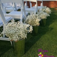 baby's breath pails