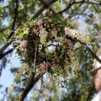 Greenery & Flower Chandelier