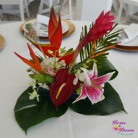 Tropical dish design Tropical dish design