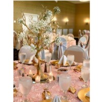 Manzanita Tree w/Baby's Breath Manzanita Tree w/Baby's Breath