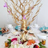 Gold Manzanita Tree with Flowers Gold Manzanita Tree with Flowers