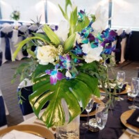 Tropical style centerpiece with Gold rocks Tropical style centerpiece with Gold rocks