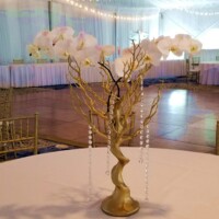 Gold Manzanita Tree with Phaleonopsis Gold Manzanita Tree with Phaleonopsis