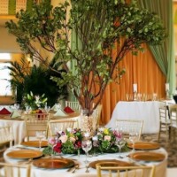 Live Manzanita Tree Centerpiece Live Manzanita Tree Centerpiece