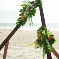 Orchids & Tropical Greenery Arch