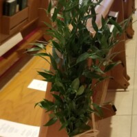 Greenery Pew ties