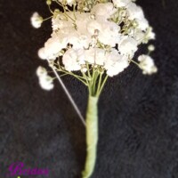 Baby's Breath Boutonniere