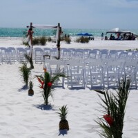 Beach aisle pineapples & palms