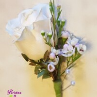 Rose & Wax Flower Boutonniere