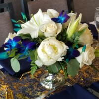 Deep Blue & White Garden Style Deep Blue & White Garden Style